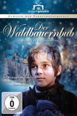 Poster de la película Der Waldbauernbub - Weihnacht in der Waldheimat