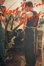 Poster de la película Non Fiction Diary