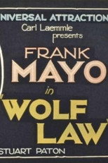 Poster de la película Wolf Law