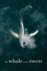 Poster de la película The Whale and the Raven