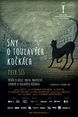 Poster de la película Dreams About Stray Cats