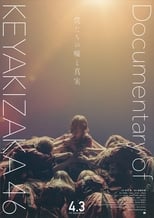 Poster de la película 僕たちの嘘と真実 Documentary of 欅坂46
