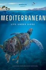 Méditerranée: L\'odyssée pour la vie