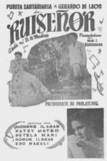 Poster de la película Ruisenor