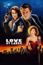 Poster de la película Love at Large