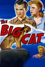 Poster de la película The Big Cat