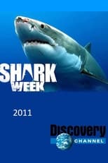 Shark Week