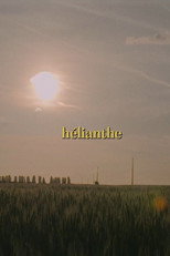 Poster de la película Hélianthe