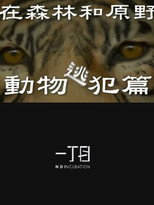 Poster de la película In the Forest and the Wilderness—The Animal Fugitives
