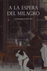 Poster de la película A la espera del milagro