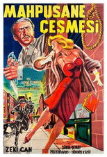 Poster de la película Mahpushane Çeşmesi