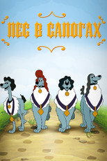 Poster de la película Пёс в сапогах