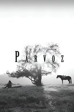 Poster de la película Parvoz