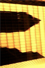 Poster de la película Commission Stratégie à 3 Ans