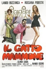 Poster de la película Il gatto mammone