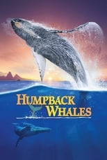 Poster de la película Humpback Whales