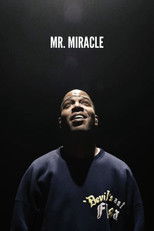 Poster de la película Mr. Miracle