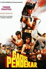 Poster de la película Warrior Girl