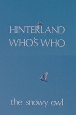 Poster de la película Hinterland Who's Who: The Snowy Owl