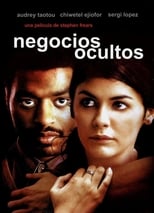 Poster de la película Negocios ocultos