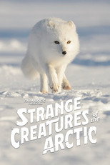 Poster de la película Strange Creatures of the Arctic