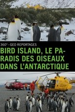 Poster de la película Bird Island - Allein unter Pinguinen