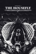 Poster de la película The Housefly
