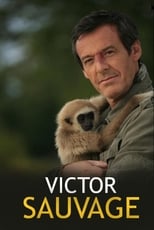 Poster de la serie Victor Sauvage