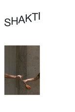 Poster de la película Shakti