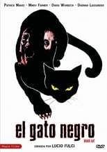 Poster de la película El gato negro