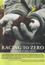 Poster de la película Racing To Zero