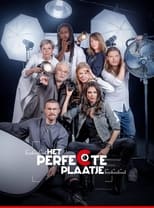 Poster de la serie Het Perfecte Plaatje