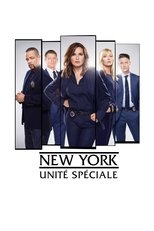 New York : Unité spéciale