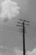 Poster de la película Parallax