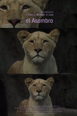 Poster de la película El asombro