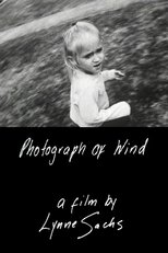 Poster de la película Photograph of Wind