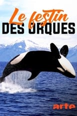 Poster de la película Norvège : le festin des orques