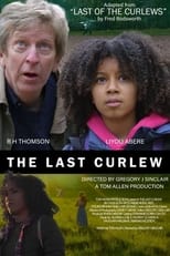 Poster de la película The Last Curlew