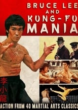 Poster de la película Bruce Lee and Kung Fu Mania