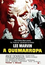 Poster de la película A quemarropa