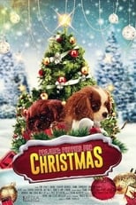 Poster de la película Project: Puppies for Christmas