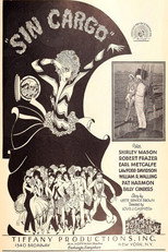 Poster de la película Sin Cargo