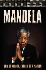 Poster de la película Mandela