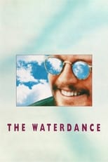 Poster de la película The Waterdance