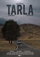 Poster de la película The Field