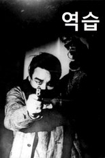 Poster de la película Counterattack