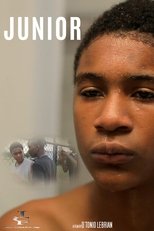 Poster de la película JUNIOR