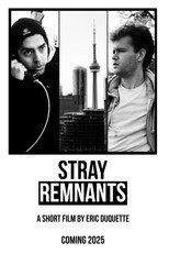 Poster de la película Stray Remnants
