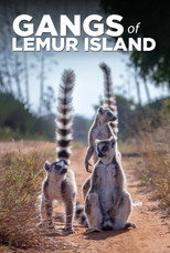Poster de la serie Gangs of Lemur Island