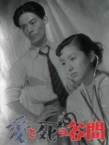 Poster de la película The Valley Between Love and Death